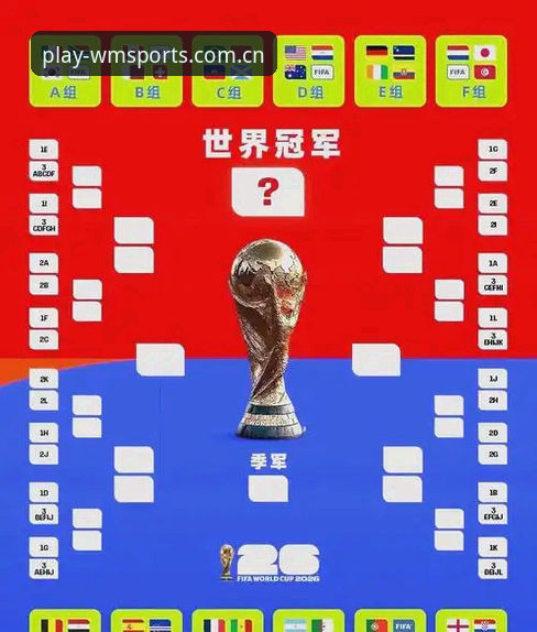 世界杯观赛受阻？完美体育平台带你解读签证与地缘政治影响下的观赛实用指南